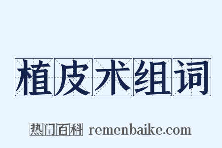 植皮术组词是什么意思的图片